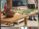 Le musée de Salagon en conférence privée pour nos résidents L'Etoile de Haute Provence Manosque